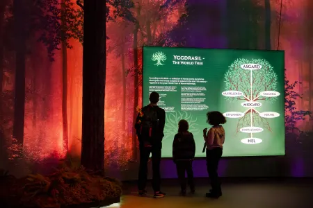 Vikings the inmersive experience