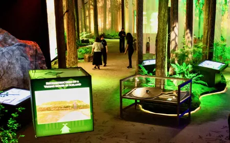 Vikings the inmersive experience